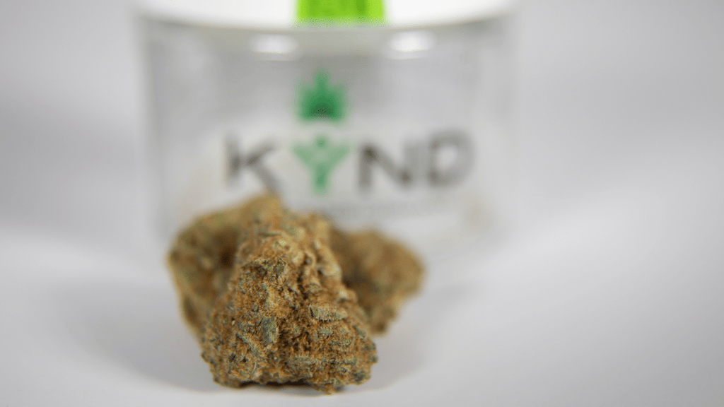 What to Look for When Purchasing Cannabis Strains