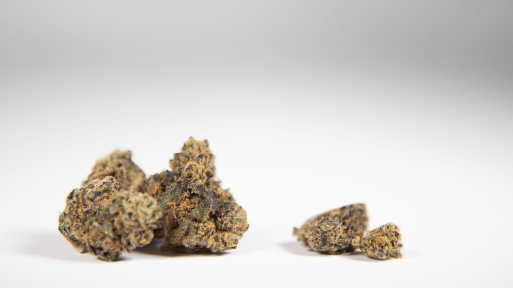 Why Cannabis Flower Appearance Changes Between Cultivators